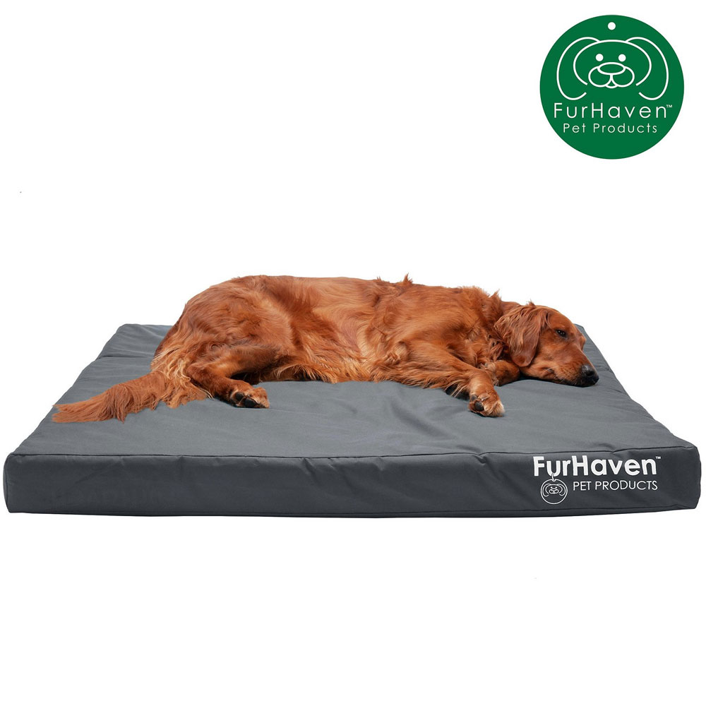 LGOINDROUTDR-DLX-COLNGGLTP-PTBD-STNEGRY-MD