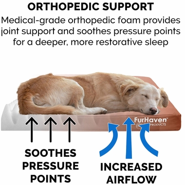 LGO-INDROUTDR-DLXFLLSPORT-PTBD-CHSTNT-JMBPLS