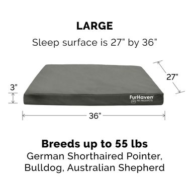 LGO-INDROUTDR-DLXFLLSPORT-PTBD-DPLGON-LG