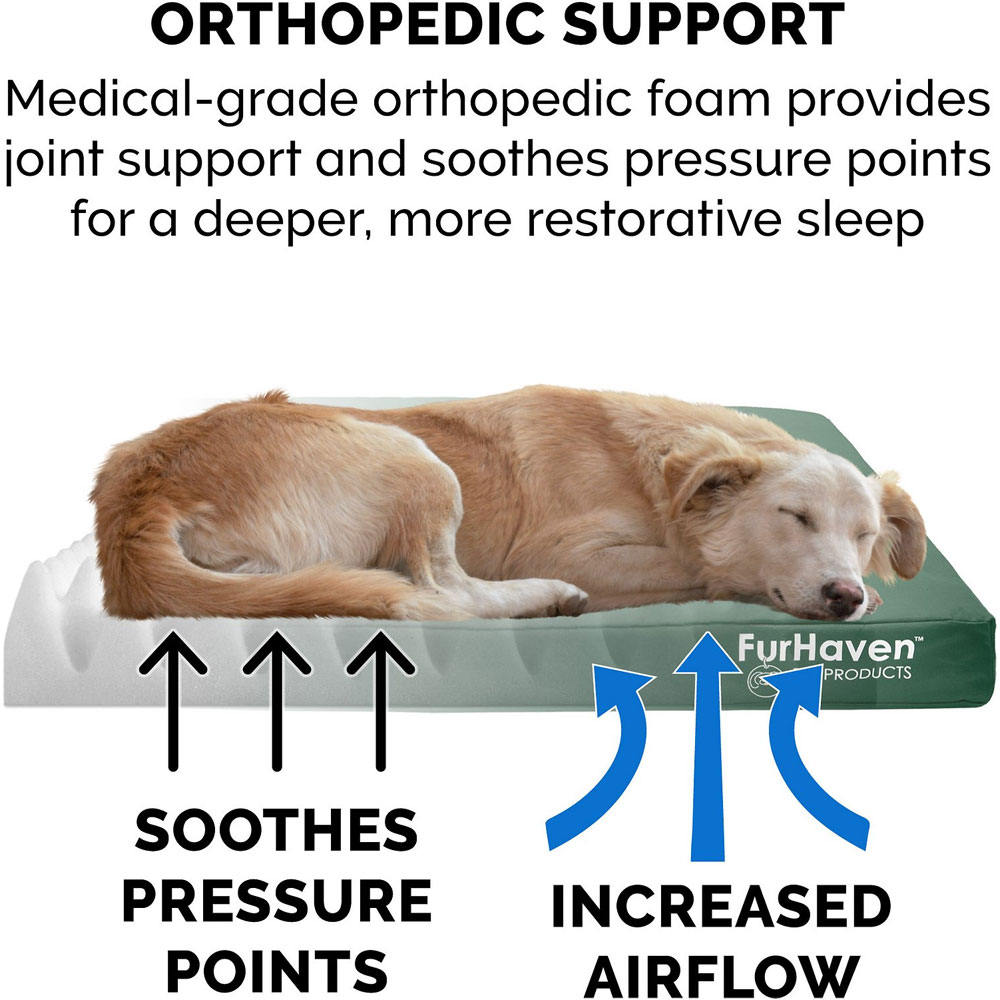 LGO-INDROUTDR-DLXFLLSPORT-PTBD-FORST-LG