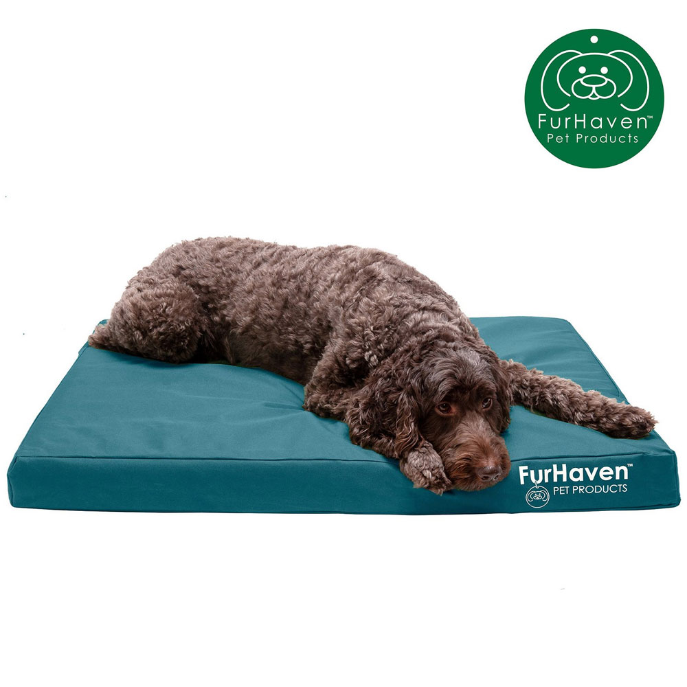 LGO-INDROUTDR-DLX-MMRYFOM-PTBD-DPLGON-MD