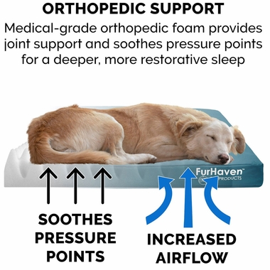LGO-INDROUTDR-DLX-MMRYFOM-PTBD-DPLGON-SM