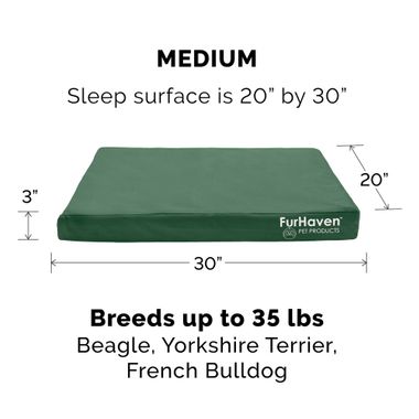 LGO-INDROUTDR-DLX-MMRYFOM-PTBD-STNEGRY-MD