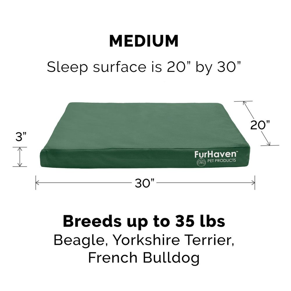 LGO-INDROUTDR-DLX-MMRYFOM-PTBD-STNEGRY-MD