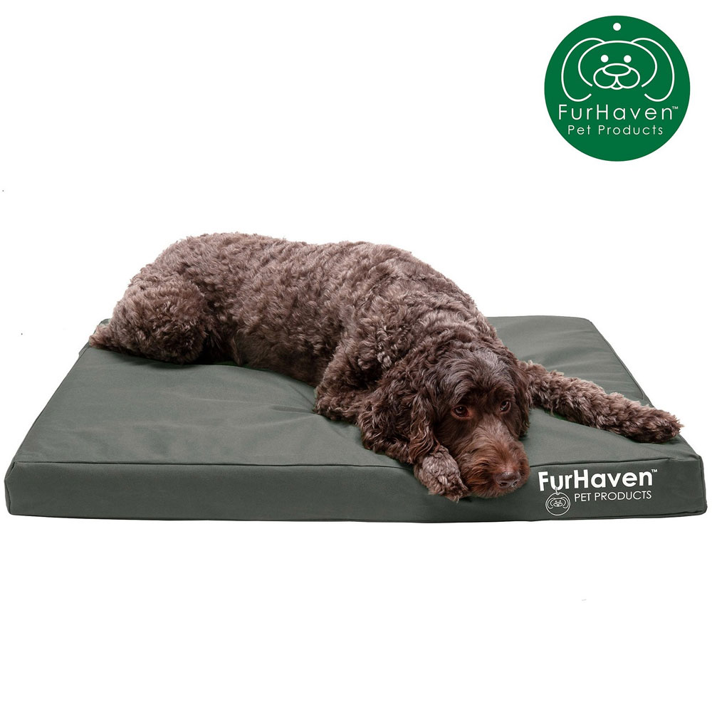 LGO-INDROUTDR-DLX-MMRYFOM-PTBD-STNEGRY-MD