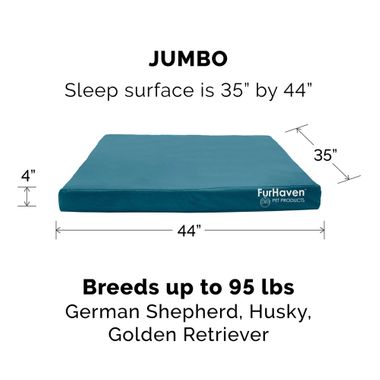 LOGO-INDOROUTDOR-DLX-ORTHPDIC-PTBD-CHSTNUT-JMB