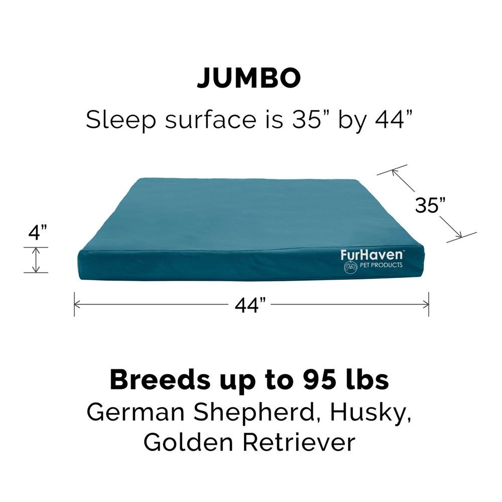 LOGO-INDOROUTDOR-DLX-ORTHPDIC-PTBD-CHSTNUT-JMB