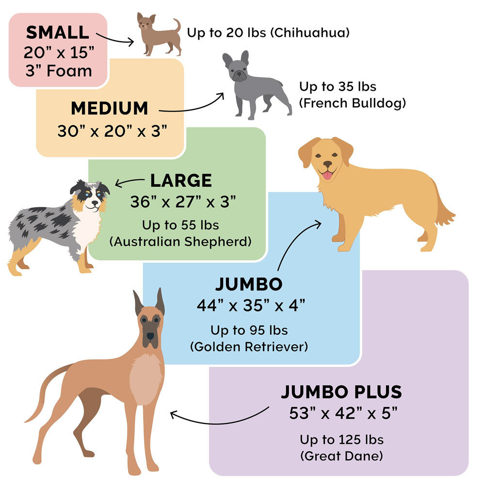 LOGO-INDOROUTDOR-DLX-ORTHPDIC-PTBD-CHSTNUT-JMB