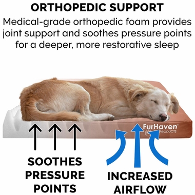 LOGO-INDOROUTDOR-DLX-ORTHPDIC-PTBD-CHSTNUT-SM