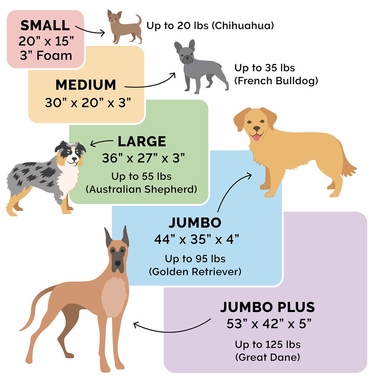 LOGO-INDOROUTDOR-DLX-ORTHPDIC-PTBD-CHSTNUT-SM