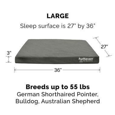 LOGO-INDOROUTDOR-DLX-ORTHPDIC-PTBD-DPLAGON-LG