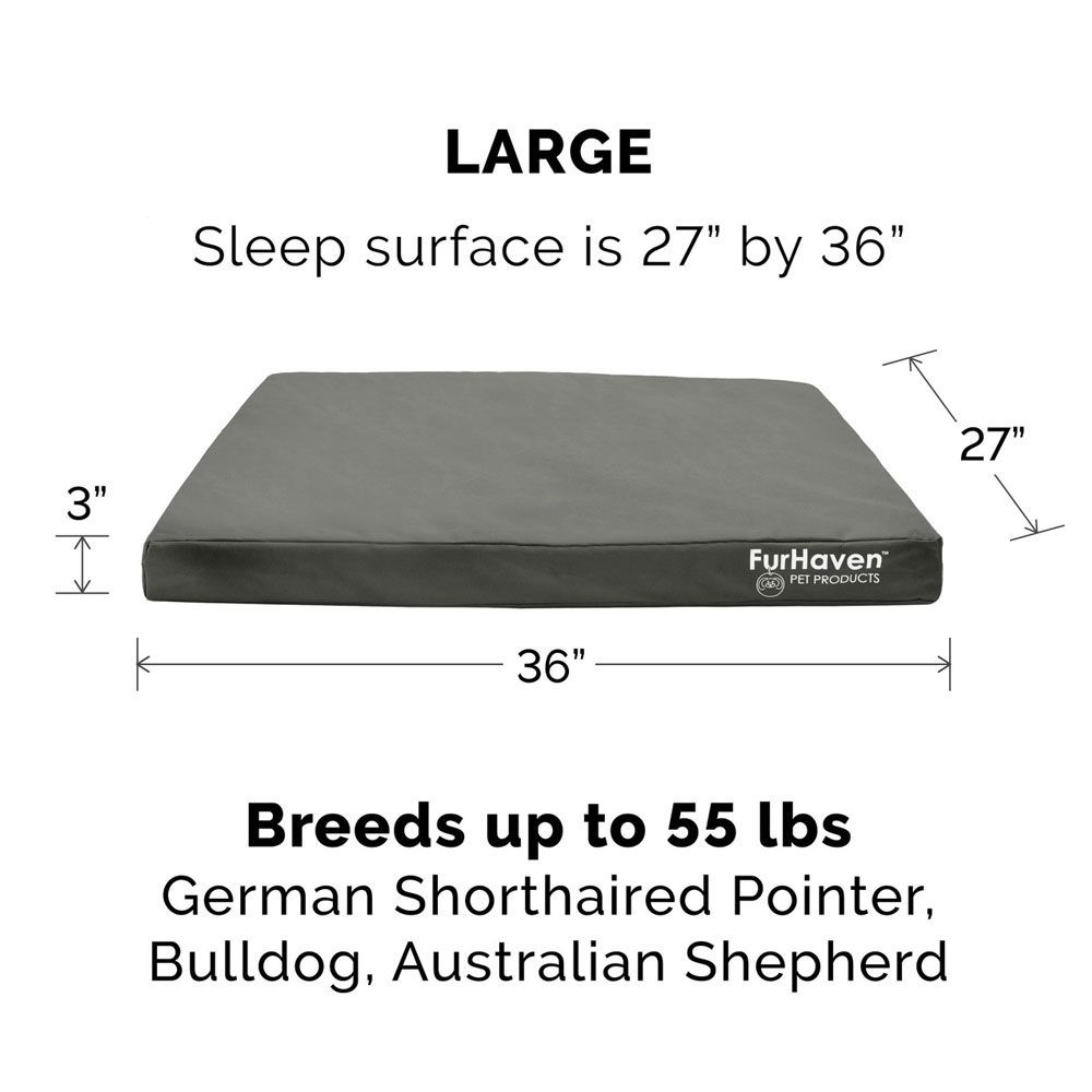 LOGO-INDOROUTDOR-DLX-ORTHPDIC-PTBD-DPLAGON-LG