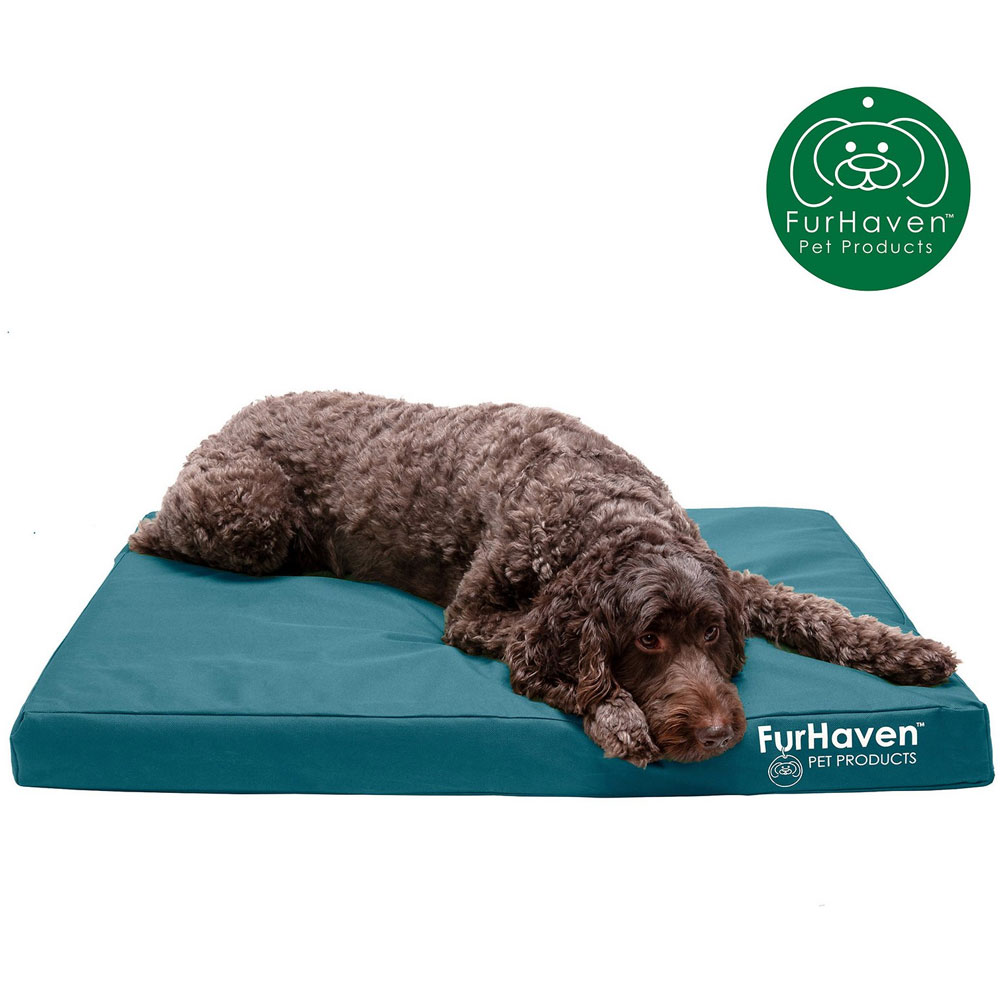 LOGO-INDOROUTDOR-DLX-ORTHPDIC-PTBD-DPLAGON-LG