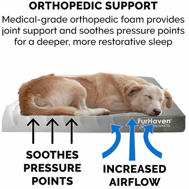 LOGO-INDOROUTDOR-DLX-ORTHPDIC-PTBD-STNEGRY-LG