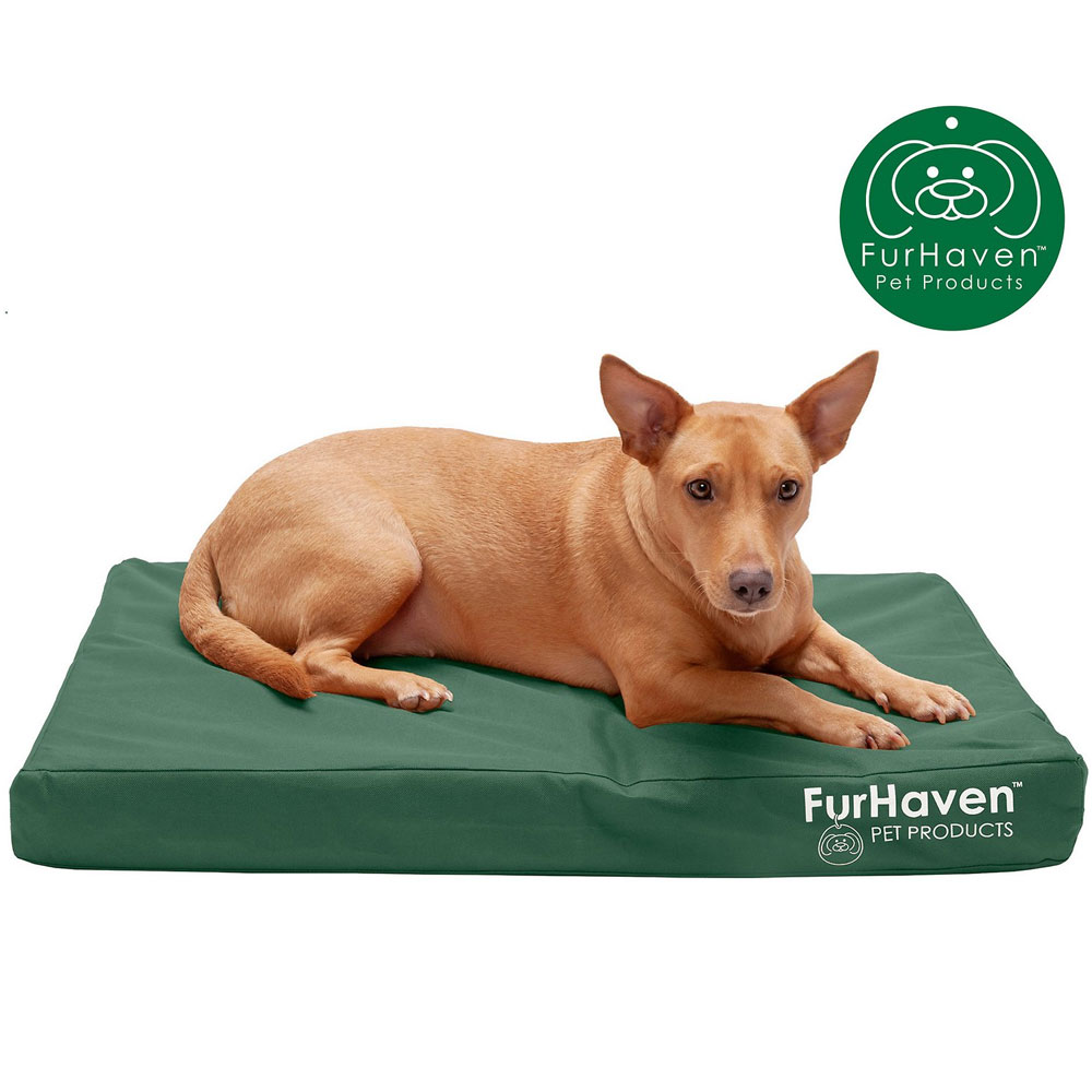 LOGO-INDR-OUTDR-DLXPILLW-PTBD-FOREST-MD