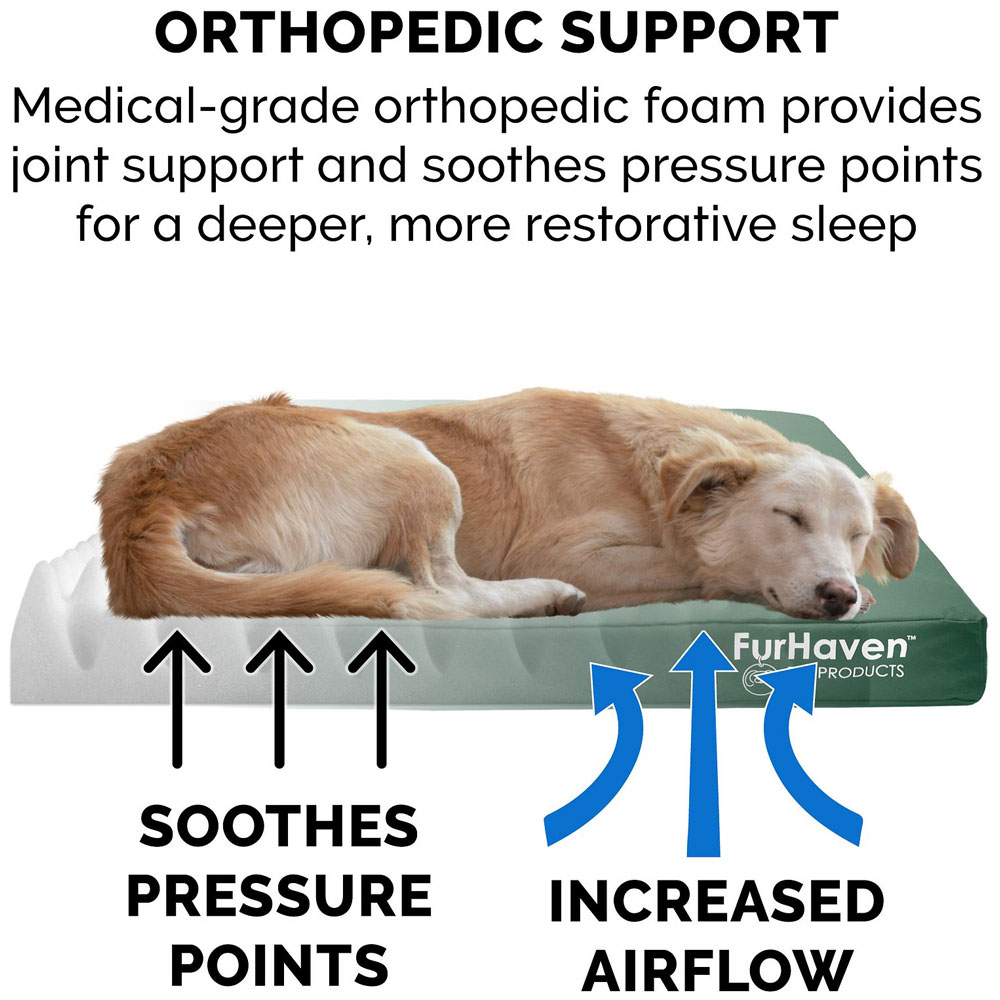 LOGO-INDR-OUTDR-DLXPILLW-PTBD-FOREST-MD