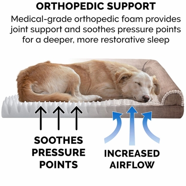 LUXEFUR-PERFRMNCE-LINEN-ORTHPDC-SOFABD-WDSMKE-JMBPLS