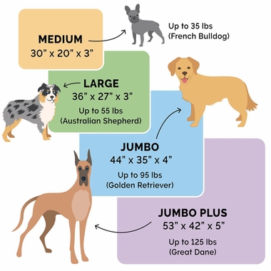 LUXEFUR-PERFRMNCE-LINEN-ORTHPDC-SOFABD-WDSMKE-JMBPLS