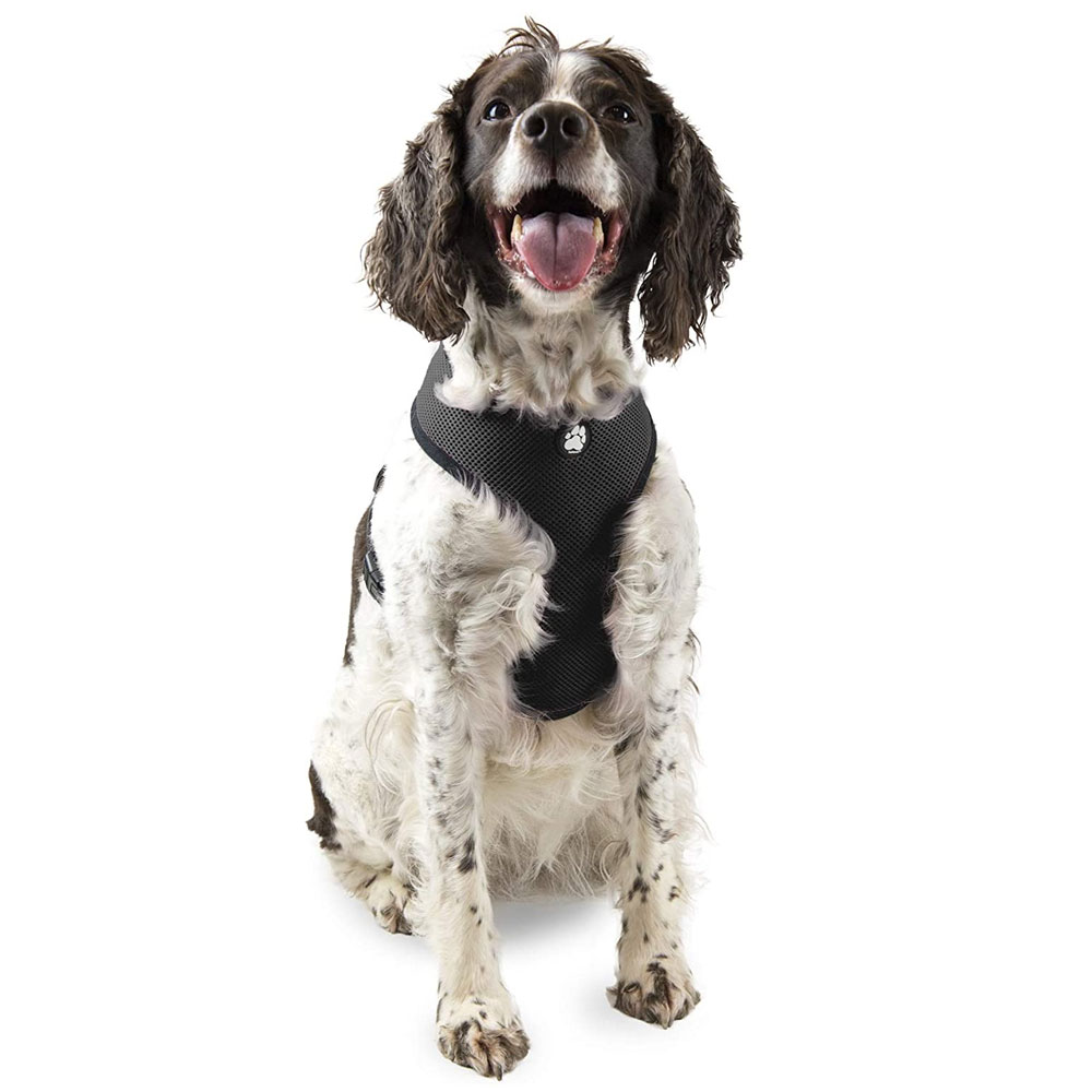 MESH-PET-HARNESS-BLACK-XLG