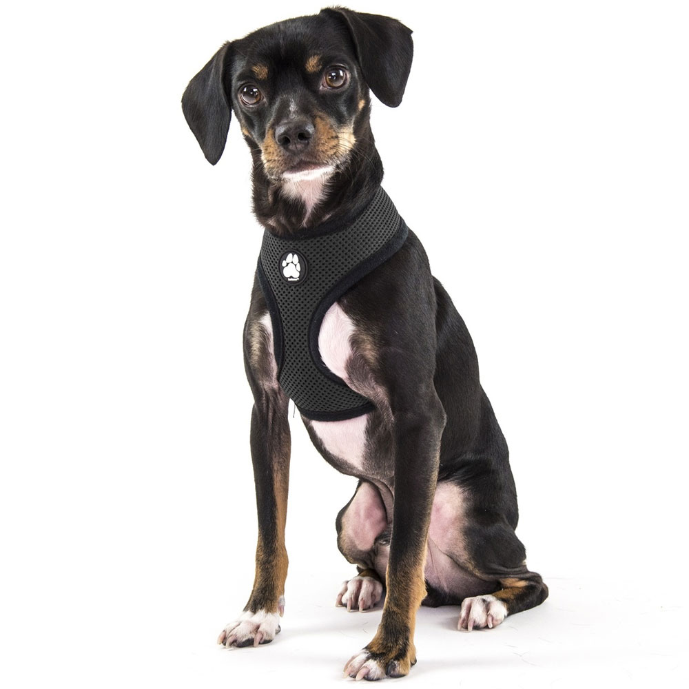 MESH-PET-HARNESS-BLACK-XLG