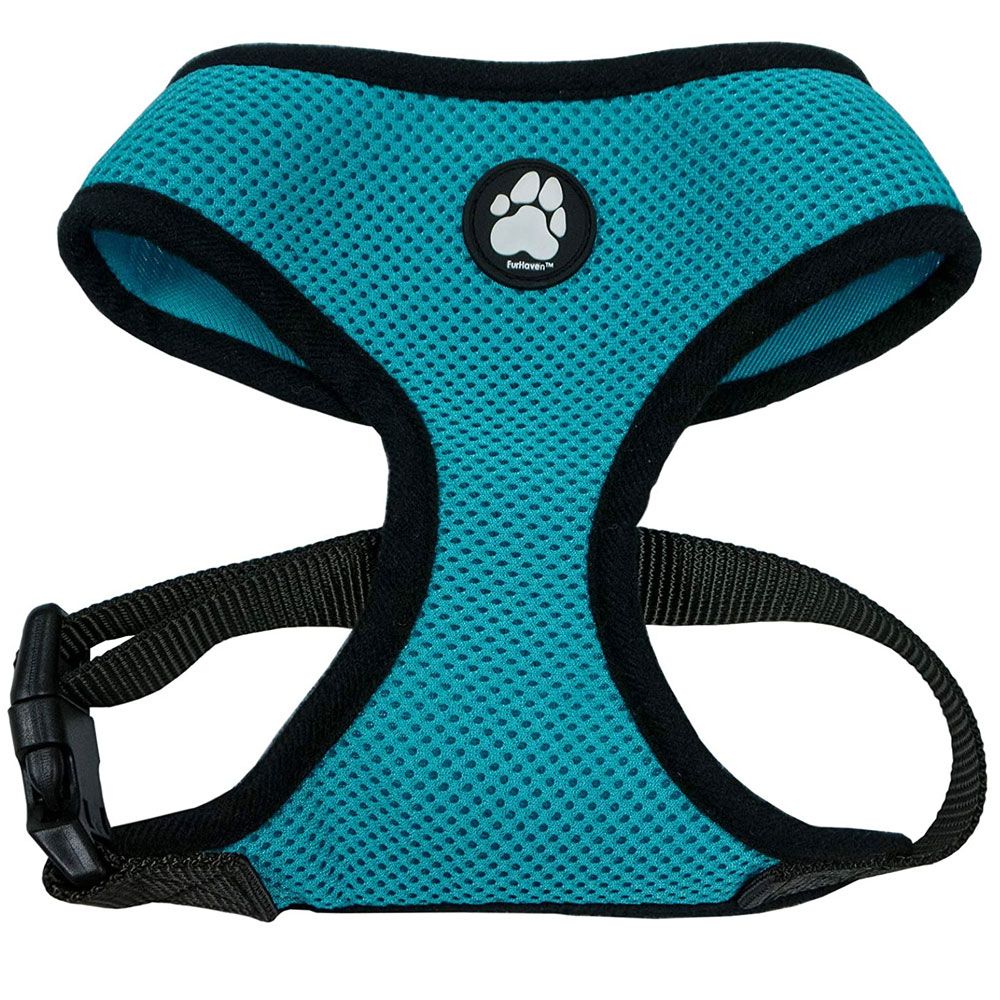 MESH-PET-HARNESS-LAGOON-XLG