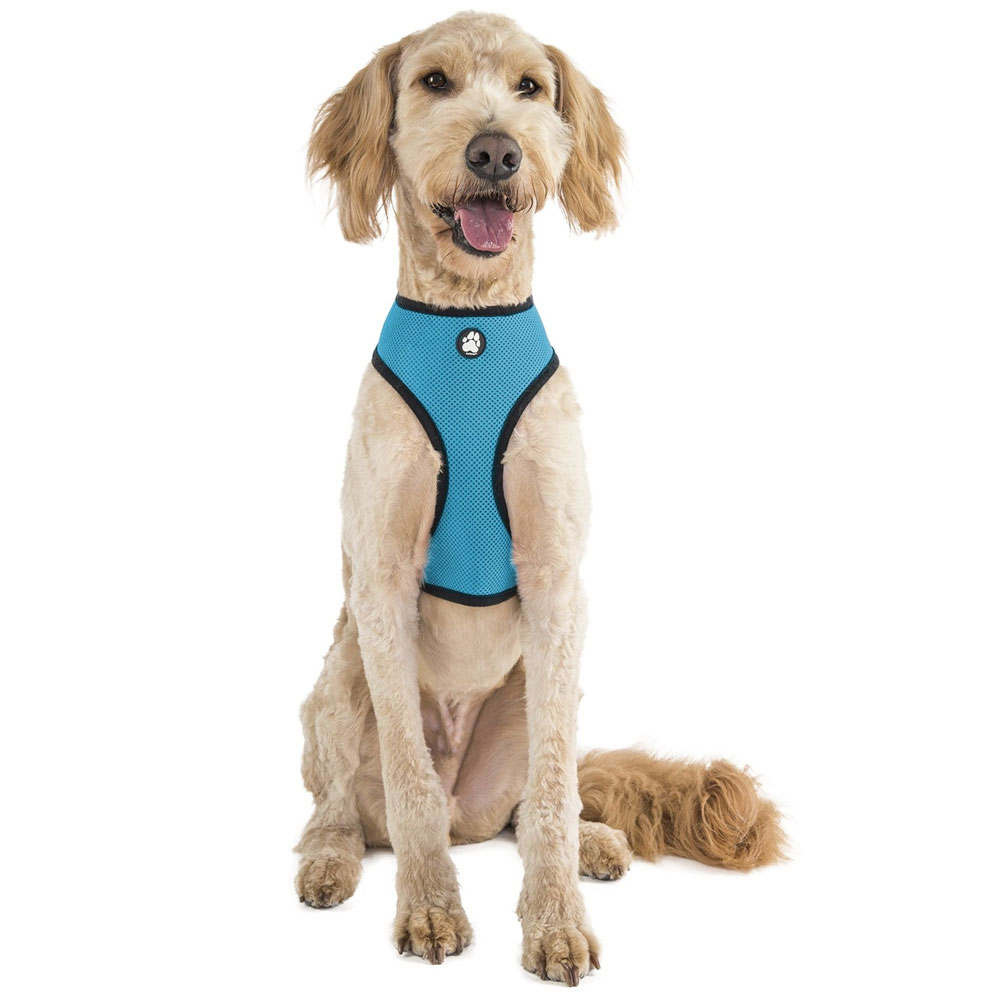 MESH-PET-HARNESS-LAGOON-MD