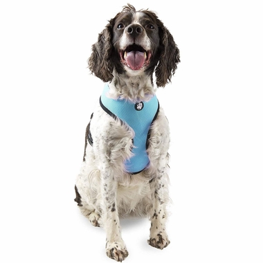 MESH-PET-HARNESS-LAGOON-MD