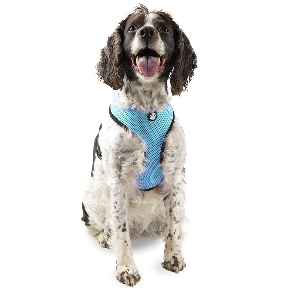 MESH-PET-HARNESS-LAGOON-MD