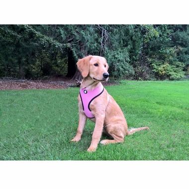 MESH-PET-HARNESS-PINK-XLG