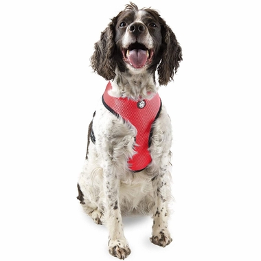 MESH-PET-HARNESS-RED-LG