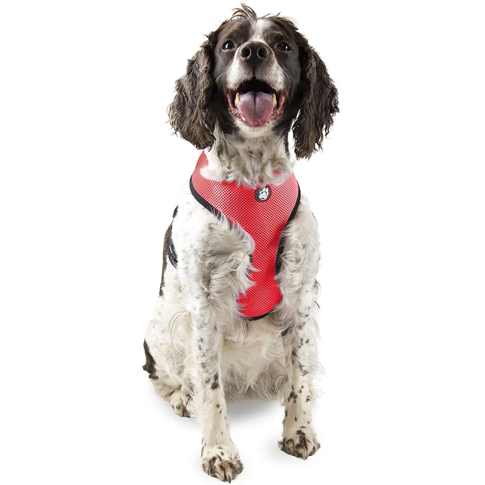MESH-PET-HARNESS-RED-LG