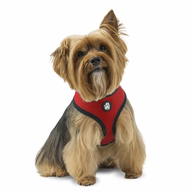 MESH-PET-HARNESS-RED-LG