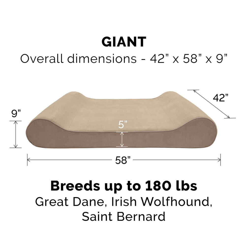MICROVLVTLUX-LUNGRMMRY-TPPTBD-CLY-GIANT