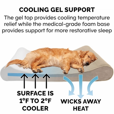 MICROVLVTLUX-LUNGRMMRY-TPPTBD-CLY-GIANT