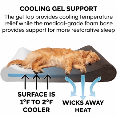 MICROVLVTLUX-LUNGRMMRY-TPPTBD-ESPRESO-MD