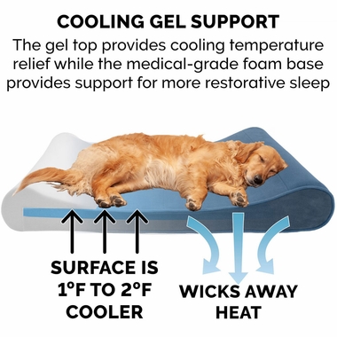 MICROVLVTLUX-LUNGRMMRY-TPPTBD-STELLRBLU-GIANT