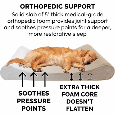 MICROVLVT-LUXLUNGER-ORTHPDIC-PTBD-CLAY-LG