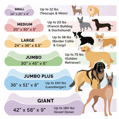 MICROVLVT-LUXLUNGER-ORTHPDIC-PTBD-CLAY-LG