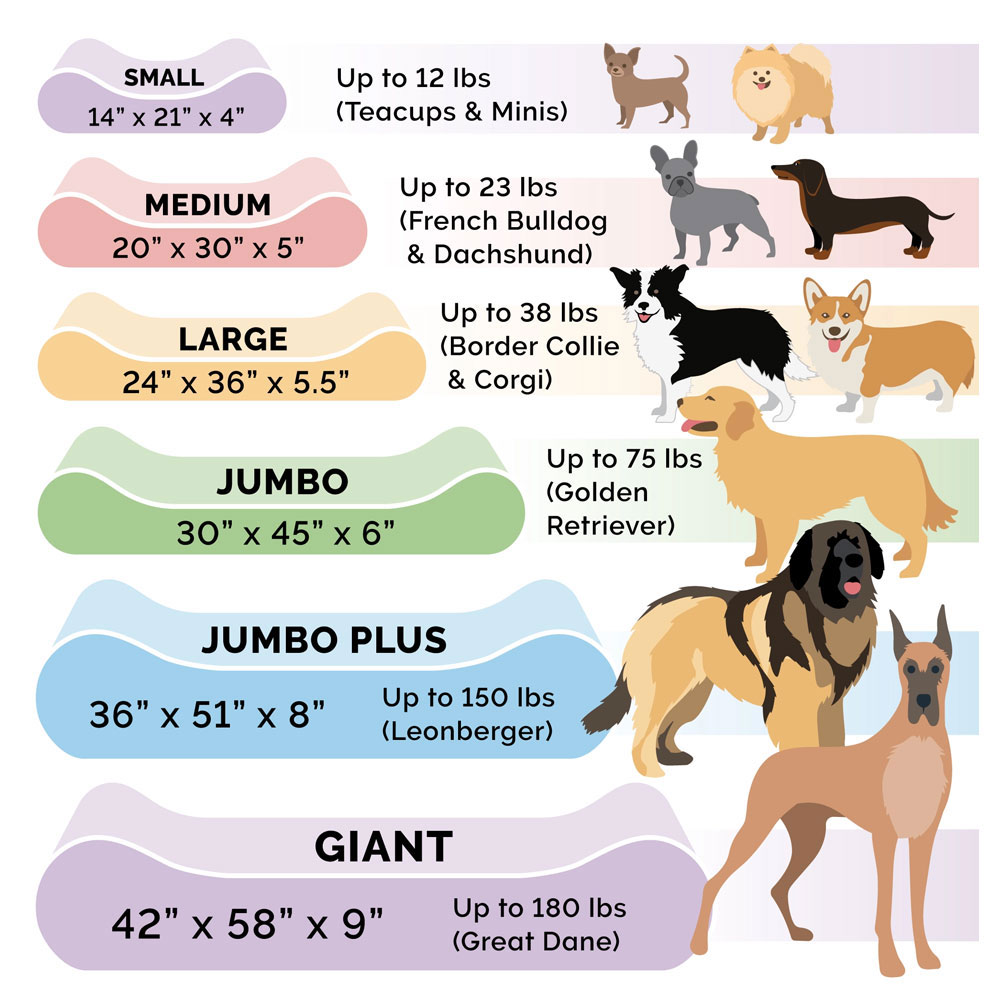 MICROVLVT-LUXLUNGER-ORTHPDIC-PTBD-CLAY-LG