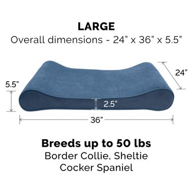 MICROVLVT-LUXLUNGER-ORTHPDIC-PTBD-ESPRESO-LG