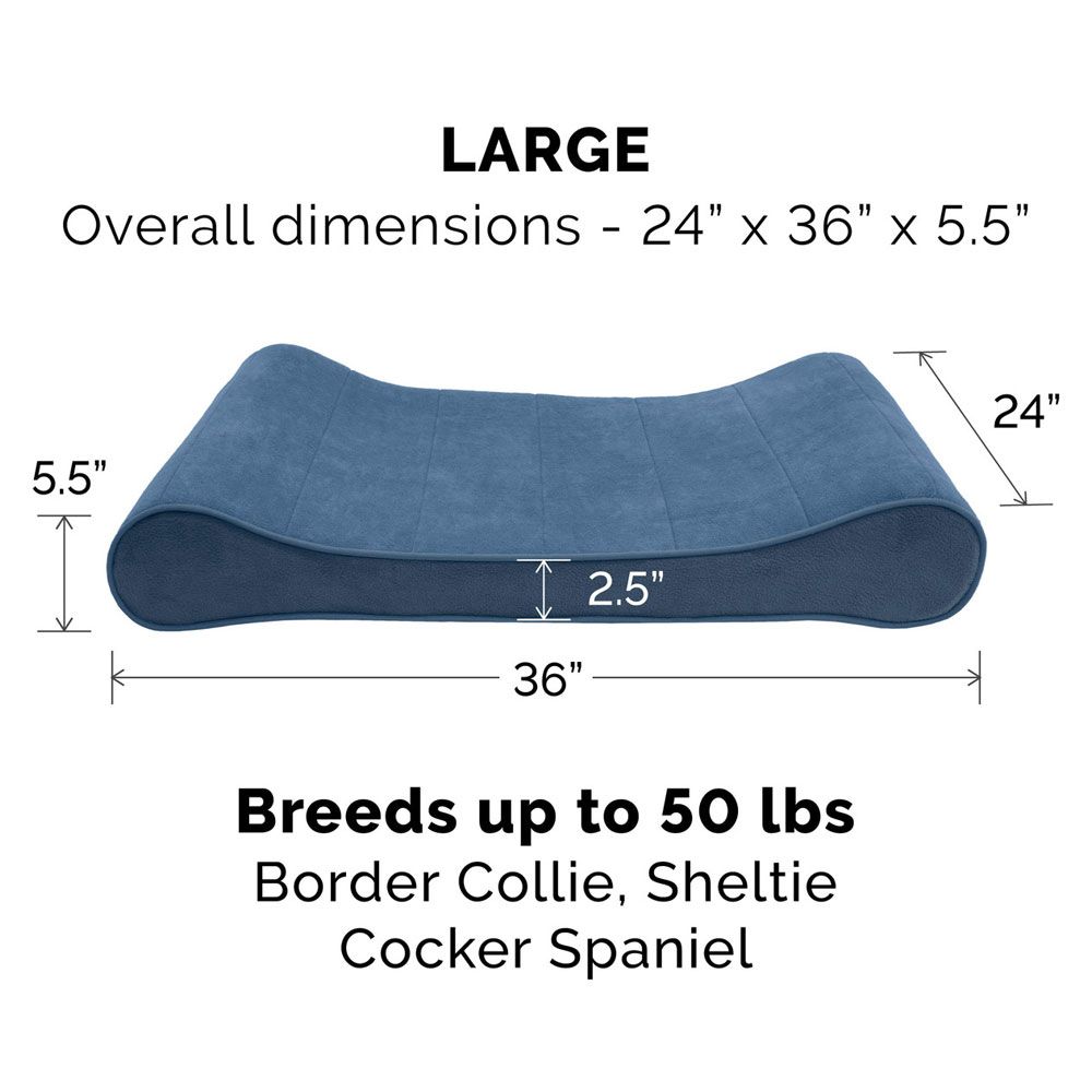 MICROVLVT-LUXLUNGER-ORTHPDIC-PTBD-ESPRESO-LG