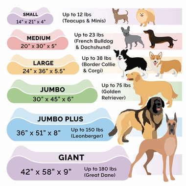 MICROVLVT-LUXLUNGER-ORTHPDIC-PTBD-GRY-GIANT