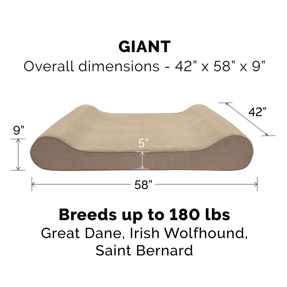 MICROVLVT-LUXLUNGER-ORTHPDIC-PTBD-STELLRBLU-GIANT