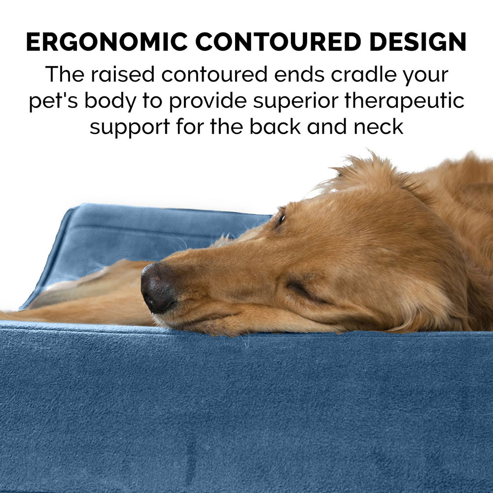 MICROVLVT-LUXLUNGER-ORTHPDIC-PTBD-STELLRBLU-JMB