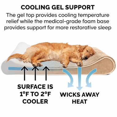 MNKYPLSH-VLVTLUX-LUNGER-GELTPBD-CMEL-GIANT