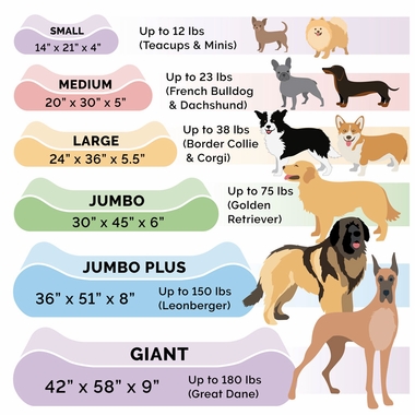 MNKYPLSH-VLVTLUX-LUNGER-GELTPBD-ESPRESO-GIANT