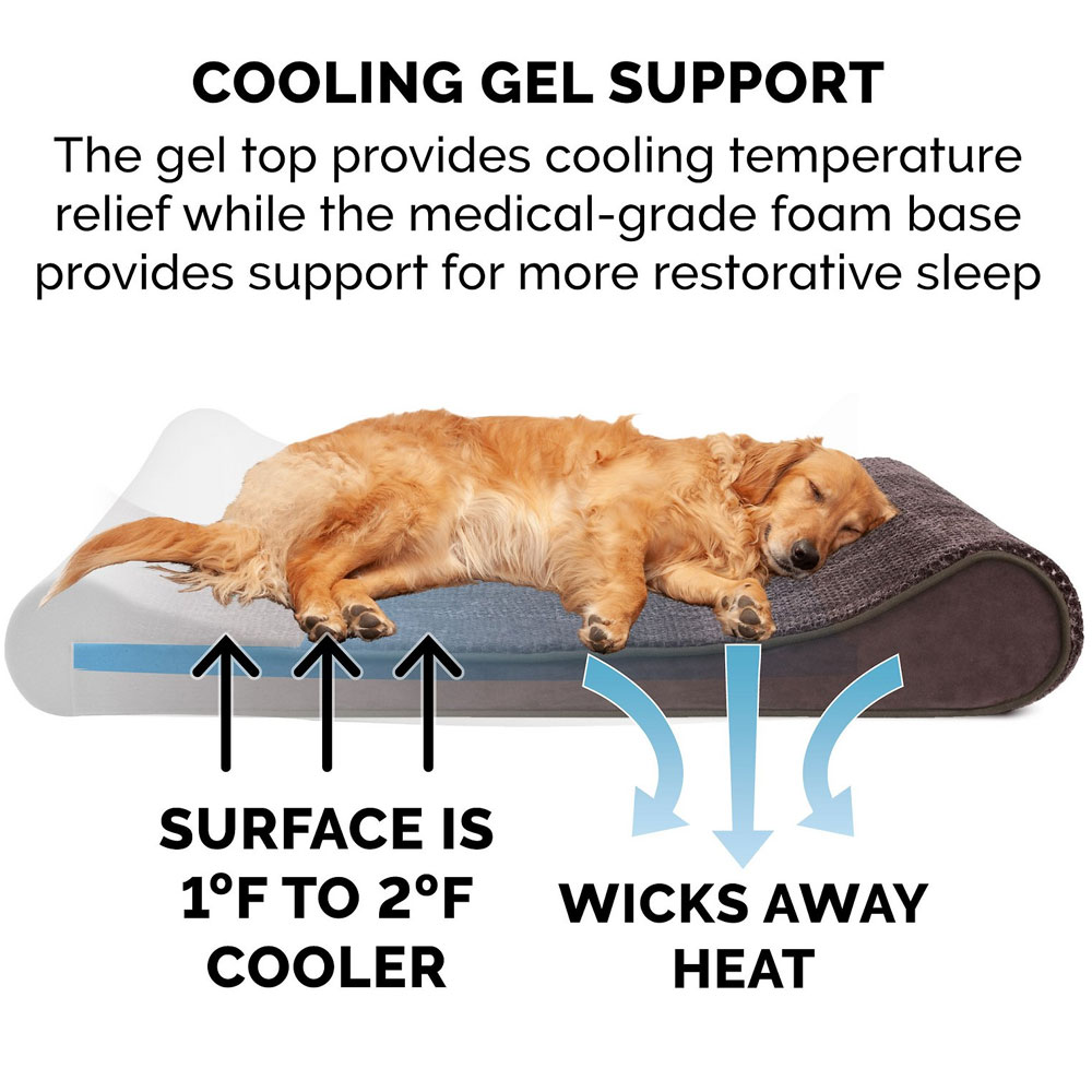 MNKYPLSH-VLVTLUX-LUNGER-GELTPBD-ESPRESO-JMBPLS