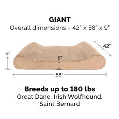 MNKYPLSH-VLVTLUX-LUNGER-MMRYTP-PTBD-CMEL-GIANT