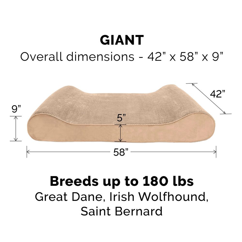 MNKYPLSH-VLVTLUX-LUNGER-MMRYTP-PTBD-CMEL-GIANT