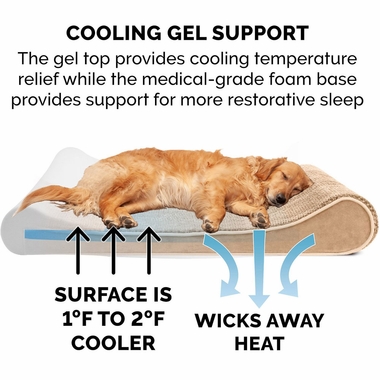 MNKYPLSH-VLVTLUX-LUNGER-MMRYTP-PTBD-CMEL-JMB